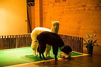 动画烂片《食物大战》同名改编PS2游戏画面曝光